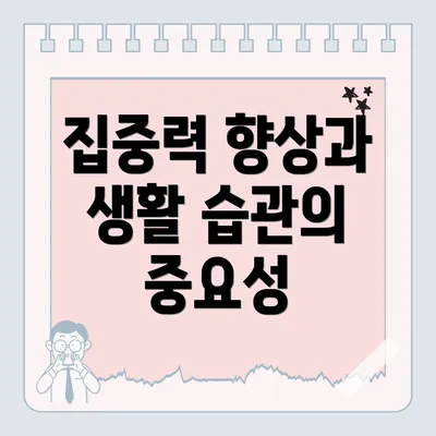 집중력 향상과 생활 습관의 중요성