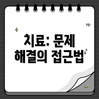 치료: 문제 해결의 접근법