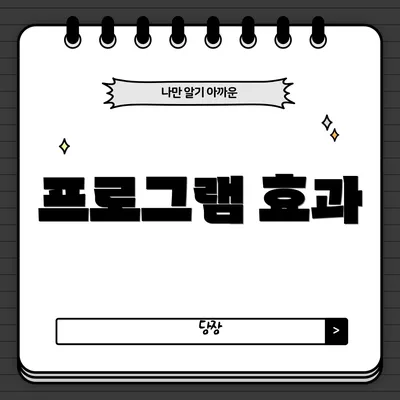 프로그램 효과