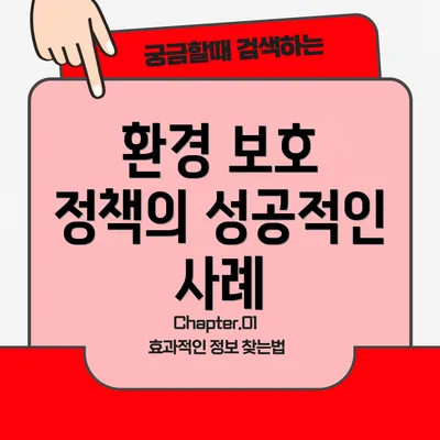 환경 보호 정책의 성공적인 사례