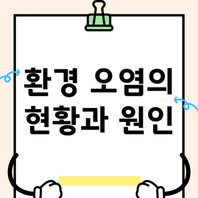 환경 오염의 현황과 원인