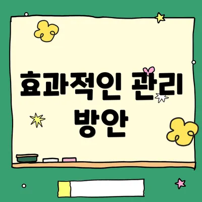 효과적인 관리 방안
