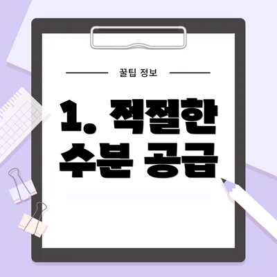 1. 적절한 수분 공급