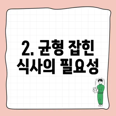 2. 균형 잡힌 식사의 필요성