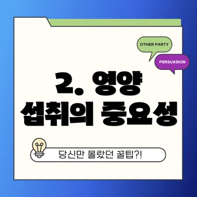 2. 영양 섭취의 중요성