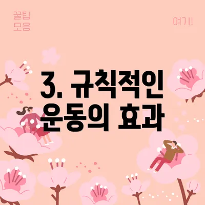 3. 규칙적인 운동의 효과