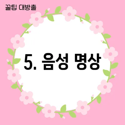 5. 음성 명상