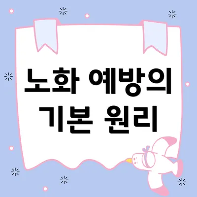 노화 예방의 기본 원리
