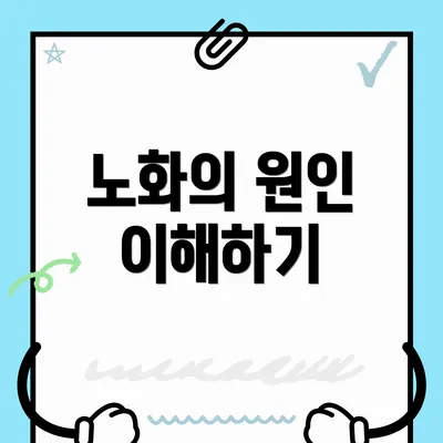 노화의 원인 이해하기