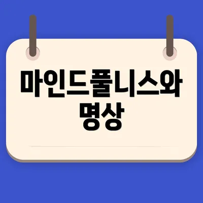 마인드풀니스와 명상