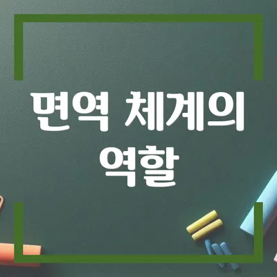 면역 체계의 역할