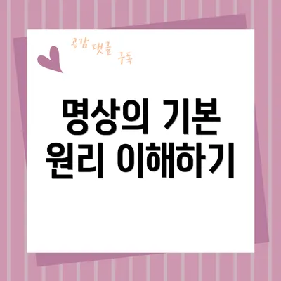 명상의 기본 원리 이해하기