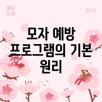 모자 예방 프로그램의 기본 원리