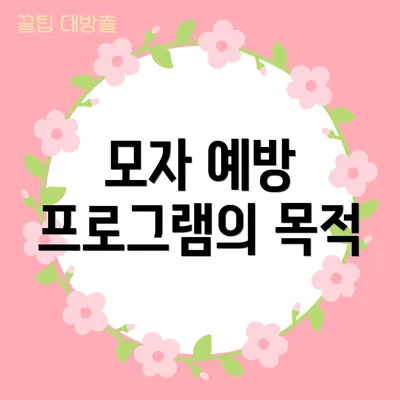 모자 예방 프로그램의 목적