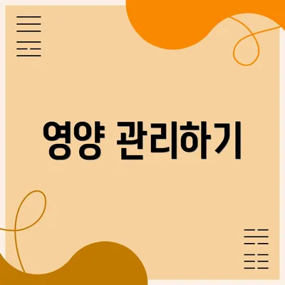 영양 관리하기