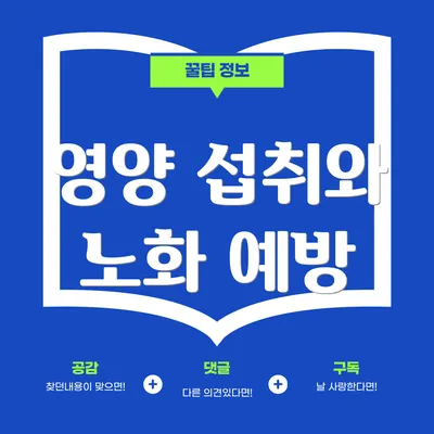 영양 섭취와 노화 예방