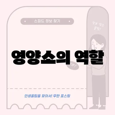 영양소의 역할