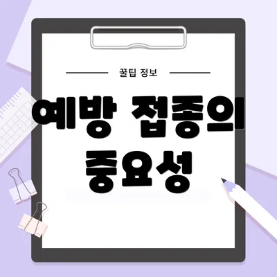예방 접종의 중요성