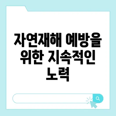 자연재해 예방을 위한 지속적인 노력
