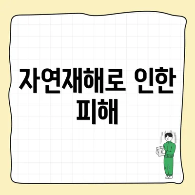 자연재해로 인한 피해