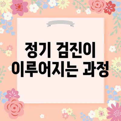 정기 검진이 이루어지는 과정