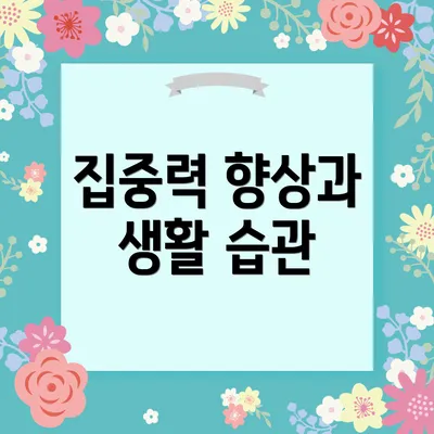 집중력 향상과 생활 습관