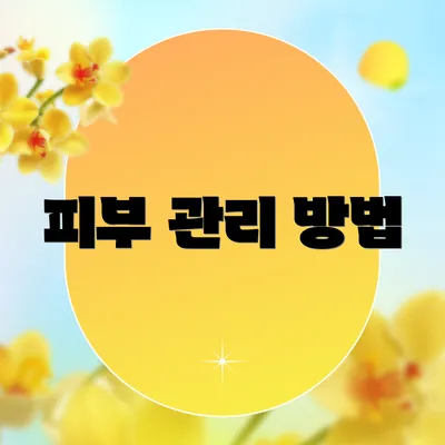 피부 관리 방법