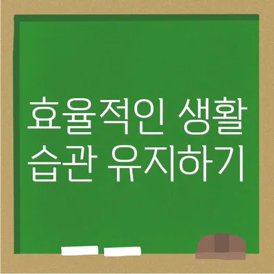 효율적인 생활 습관 유지하기