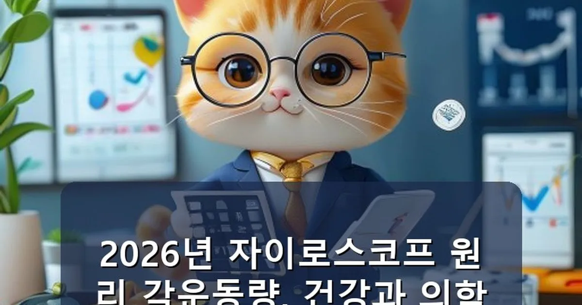 자이로스코프 원리 각운동량 - chanyang2.co.kr 캐릭터