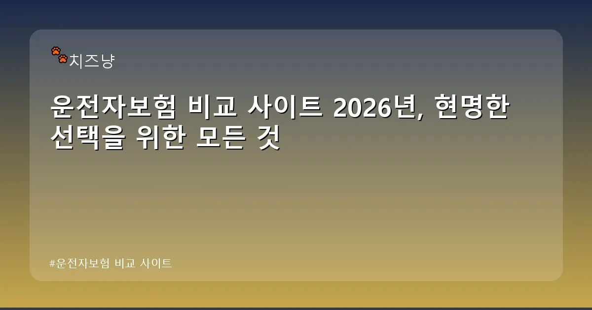 운전자보험 비교 사이트 - chanyang2.co.kr 캐릭터